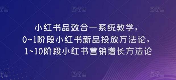小红书品效合一系统教学,0~1阶段小红书新品投放方法论,1~10阶段小红书营销增长方法论-云创网