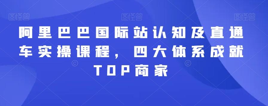 阿里巴巴国际站认知及直通车实操课程,四大体系成就TOP商家-云创网
