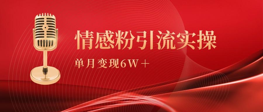(9473期)单月变现6w+，情感粉引流变现实操课-云创网