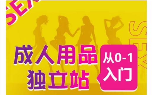 成人用品独立站从0-1入门,成品独立站运营全流程教学,七大好卖成品独立站推荐-云创网