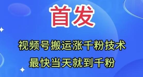 全网首发:视频号无脑搬运涨千粉技术,最快当天到千粉【揭秘】-云创网