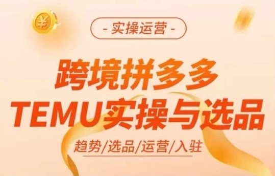 跨境拼多多TEMU实操与选品,多多temu跨境选品运营实操-云创网