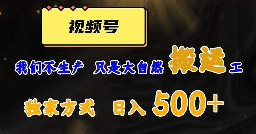 视频号轻松搬运日赚500+,一个1分钟1条原创视频【揭秘】-云创网