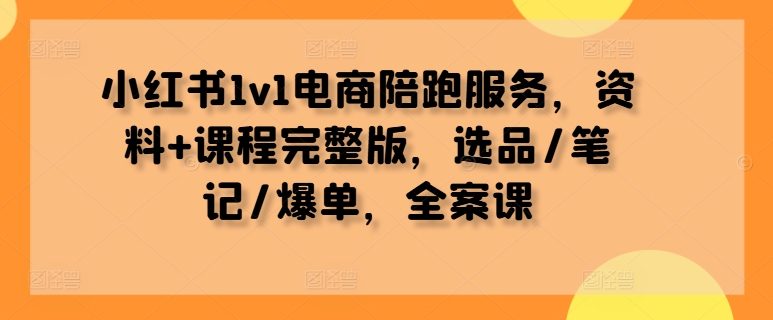 小红书1v1电商陪跑服务,资料+课程完整版,选品/笔记/爆单,全案课-云创网