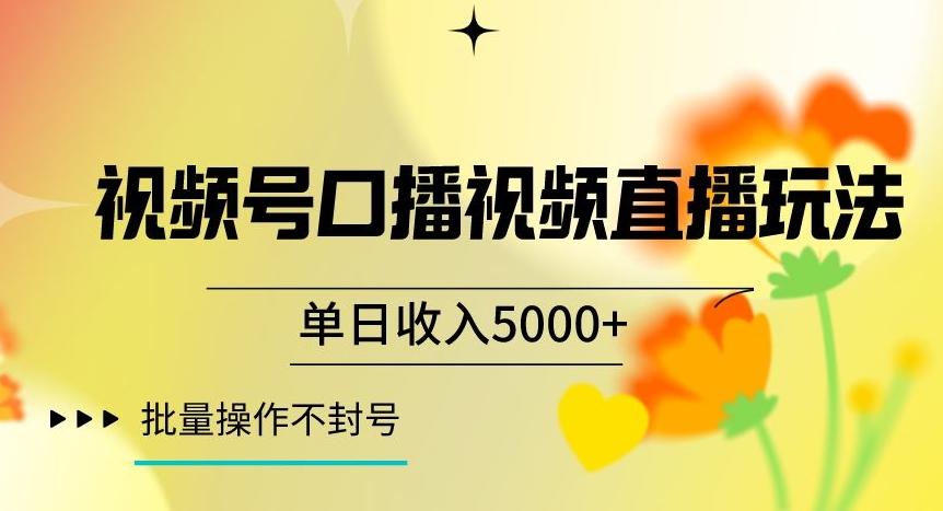 视频号囗播视频直播玩法,单日收入5000+,批量操作不封号【揭秘】-云创网