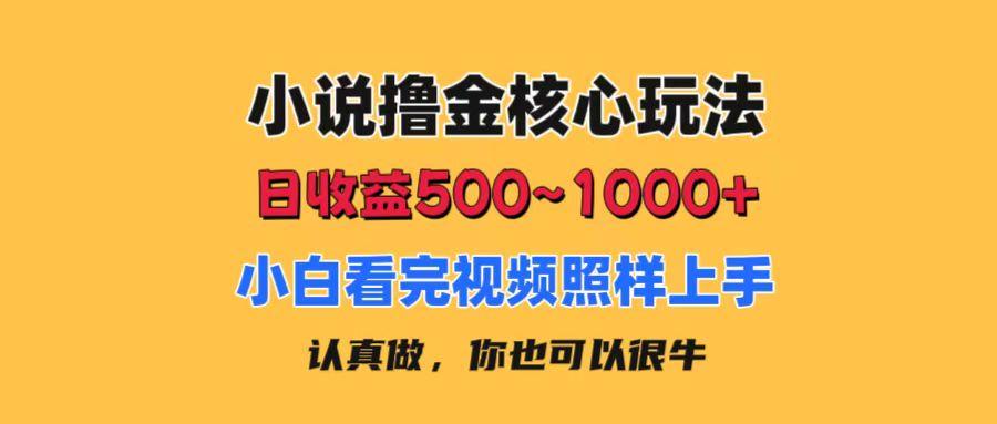 小说撸金核心玩法,日收益500-1000+,小白看完照样上手,0成本有手就行-云创网
