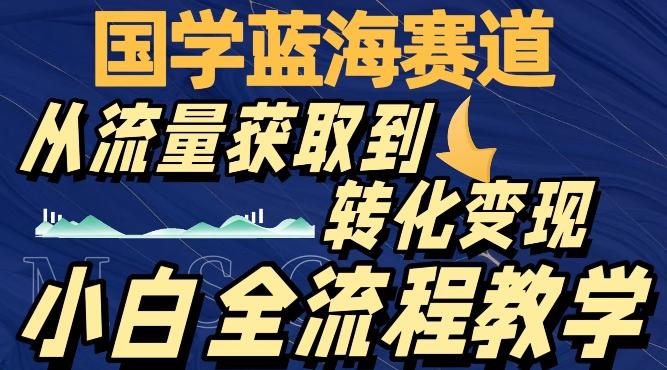 国学蓝海赛道，从流量获取，到转化变现，全流程教学-云创网