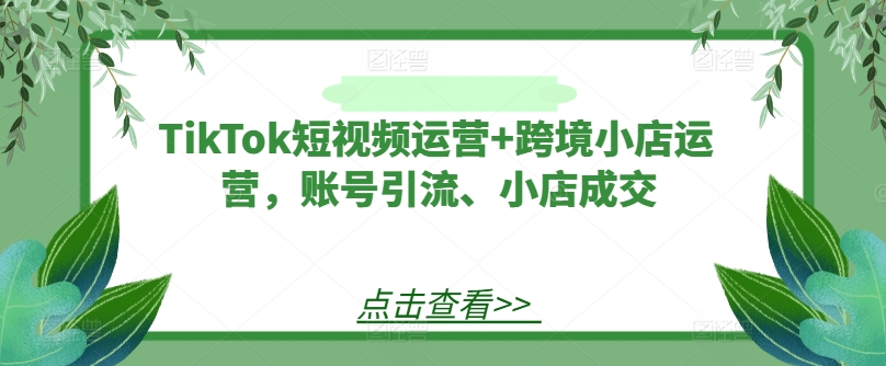 TikTok短视频运营+跨境小店运营，账号引流、小店成交-云创网