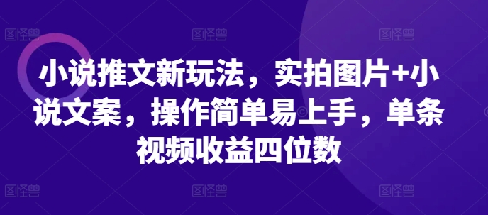 小说推文新玩法，实拍图片+小说文案，操作简单易上手，单条视频收益四位数-云创网