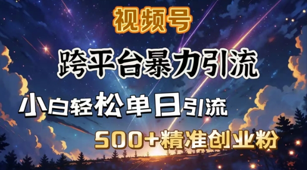 跨平台暴力引流,私域完美闭环,日引500+精准创业粉-云创网