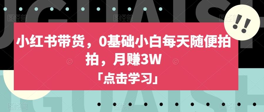 小红书带货，0基础小白每天随便拍拍，月赚3W【揭秘】-云创网