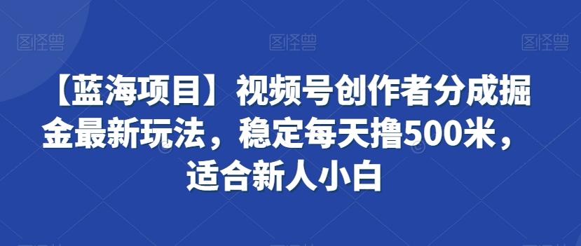 【蓝海项目】视频号创作者分成掘金最新玩法,稳定每天撸500米,适合新人小白【揭秘】-云创网