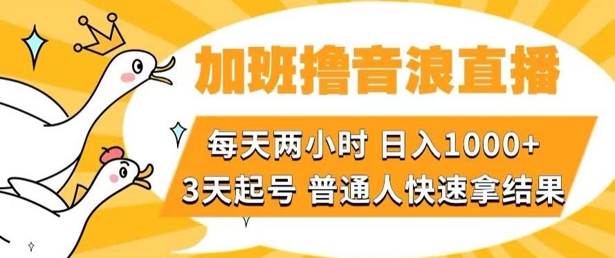 加班撸音浪直播,每天两小时,日入1000+,直播话术才3句,3天起号,普通人快速拿结果【揭秘】-云创网