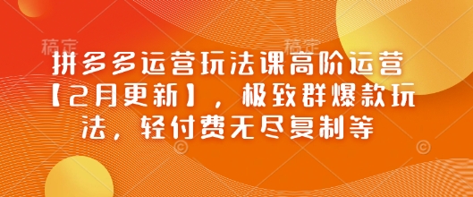 拼多多运营玩法课高阶运营【2月更新】,极致群爆款玩法,轻付费无尽复制等-云创网
