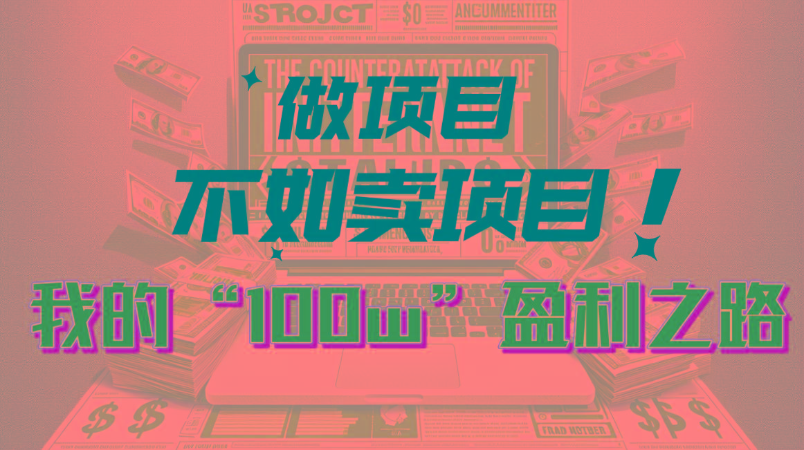 为什么做项目不如卖项目?我的100W+盈利之路-云创网