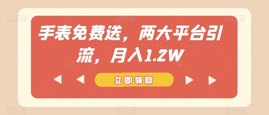 手表免费送,两大平台引流,月入1.2W【揭秘】-云创网