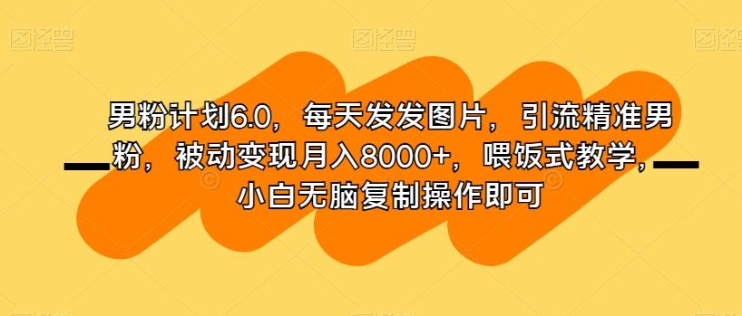 男粉计划6.0，每天发发图片，引流精准男粉，被动变现月入8000+，喂饭式教学，小白无脑复制操作即可-云创网