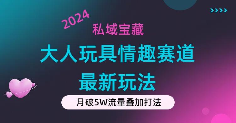 私域宝藏:大人玩具情趣赛道合规新玩法,零投入,私域超高流量成单率高-云创网