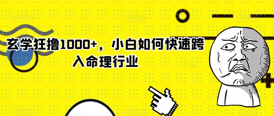 玄学狂撸1000+,小白如何快速跨入命理行业-云创网