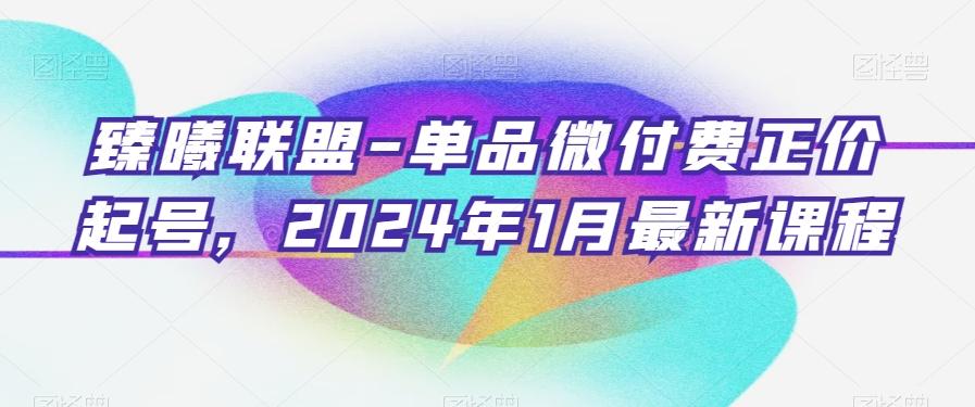 臻曦联盟-单品微付费正价起号,2024年1月最新课程-云创网
