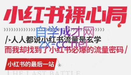 月月老师·小红书低粉高变现课-云创网