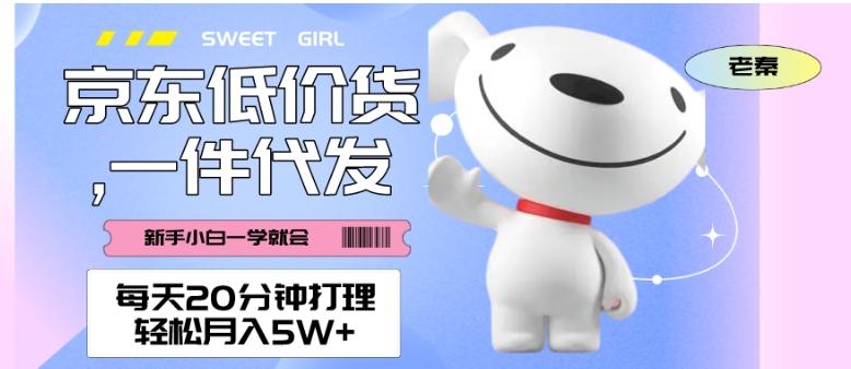 每天20分钟打理京东低价货,一件代发-轻松月入5W+-云创网