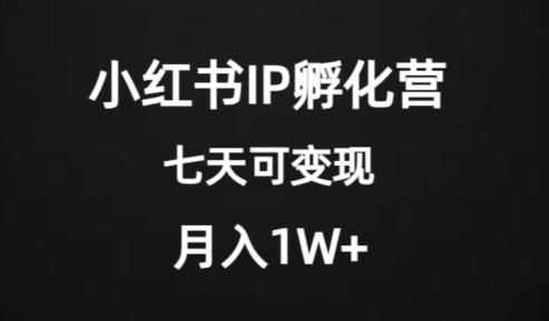 价值2000+的小红书IP孵化营项目,超级大蓝海,七天即可开始变现,稳定月入1W+-云创网