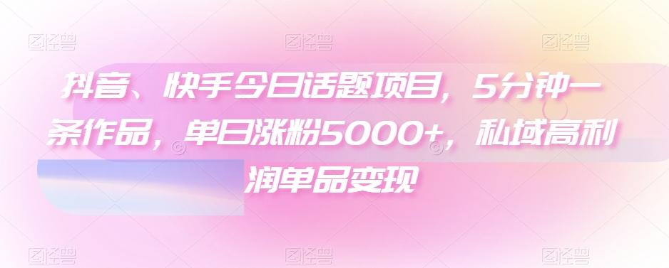 抖音、快手今日话题项目,5分钟一条作品,单日涨粉5000+,私域高利润单品变现-云创网