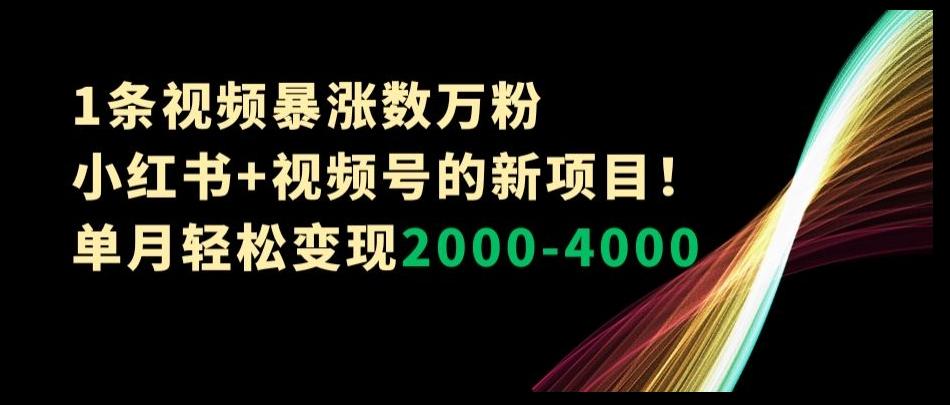 1条视频暴涨数万粉--小红书+视频号的新项目！单月轻松变现2000-4000【揭秘】-云创网