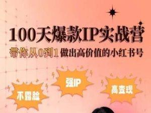 小红书100天爆款IP实战营,带你从0到1做出高价值的小红书号-云创网