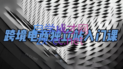 团长·跨境电商独立站入门课(2小时精华)-云创网