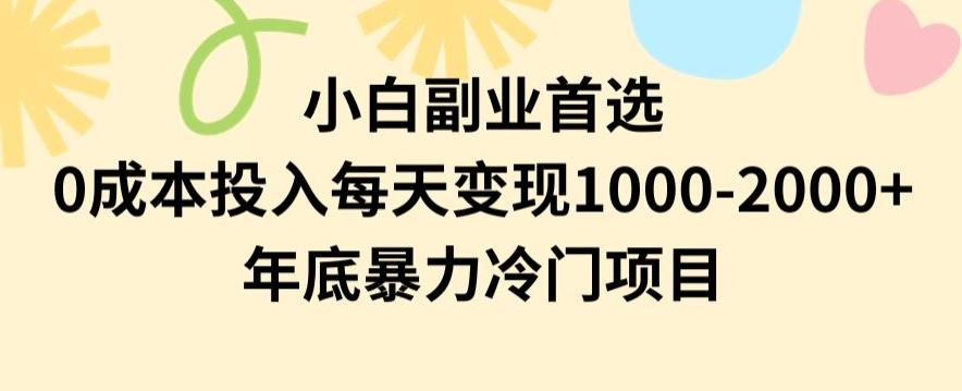 小白副业首选，0成本投入，每天变现1000-2000年底暴力冷门项目【揭秘】-云创网