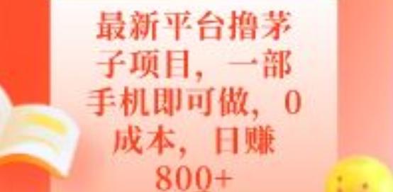 最新平台撸茅子项目,一部手机即可做,0成本,日赚800+-云创网